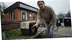 Do útulku jsem nesla nemocného kocoura. Bez obou jsem se vracela